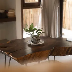 Big Tree Boutique Ko Tao
